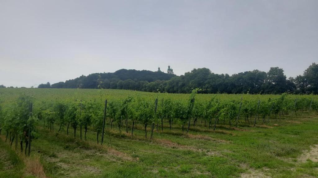 Krakow-bielany